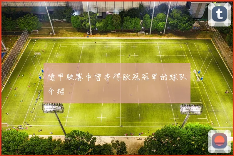 德甲联赛中曾夺得欧冠冠军的球队介绍