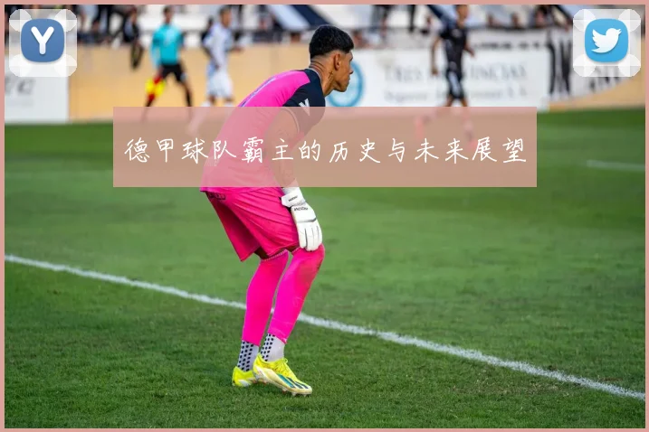 德甲球队霸主的历史与未来展望