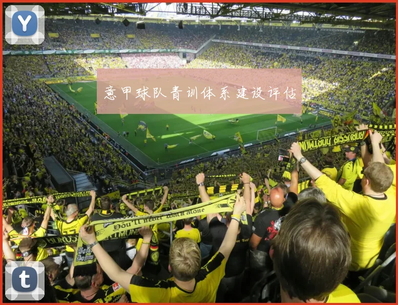 意甲球队青训体系建设评估