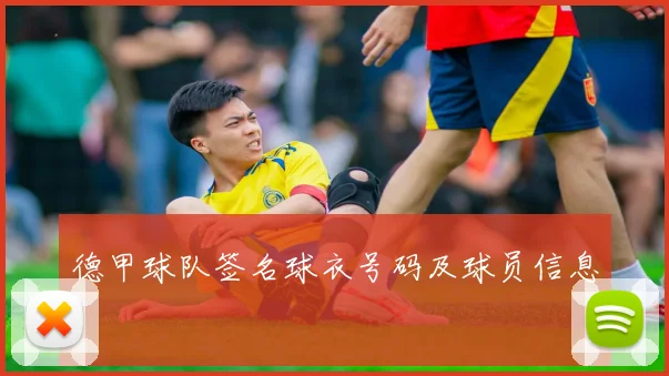 德甲球队签名球衣号码及球员信息